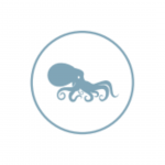 Molluscs